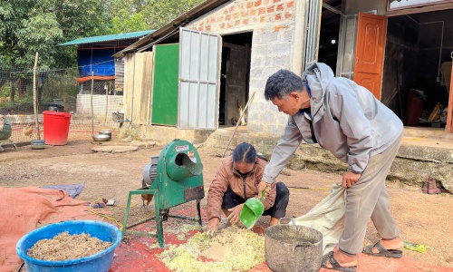 Quang Tri: Mid-term evaluation of livelihood support for 40 households of person with disabilities